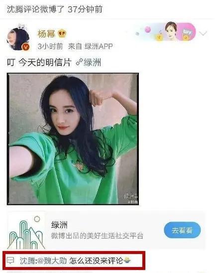 娱乐吃瓜丫直播,揭秘娱乐圈幕后故事